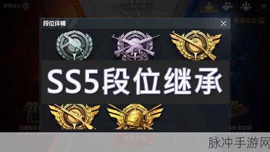 和平精英，段位探秘与致胜秘籍