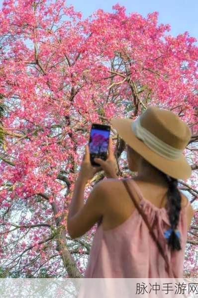 DNF手游漫游职业刷图首饰搭配攻略，粉色首饰精选
