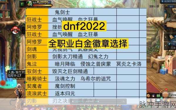 DNF手游攻略，女弹药白金徽章选择深度解析