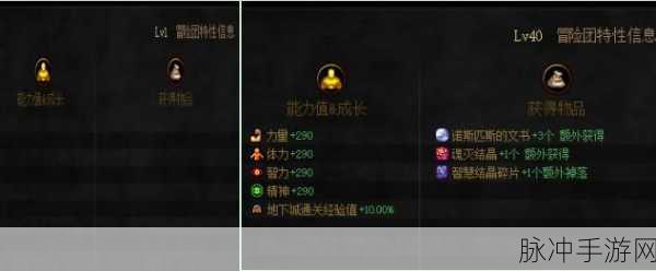 DNF冒险团超级进化全解析，40级满级290点四维提升详解