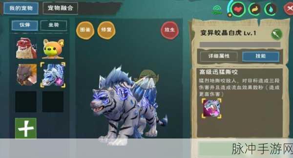 手游攻略，风行、白虎、骨弓哪个更厉害？