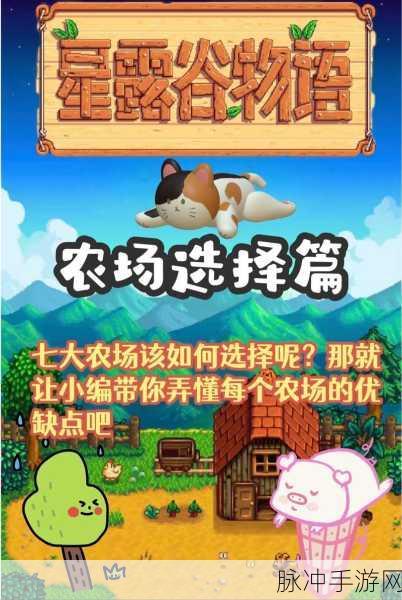 星露谷物语农场抉择指南，哪个才是最佳之选