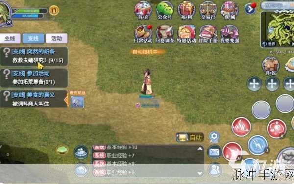 仙境传说手游，骑士附魔的精准抉择与深度心得