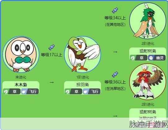 宝可梦大集结木木枭技能效果全解析