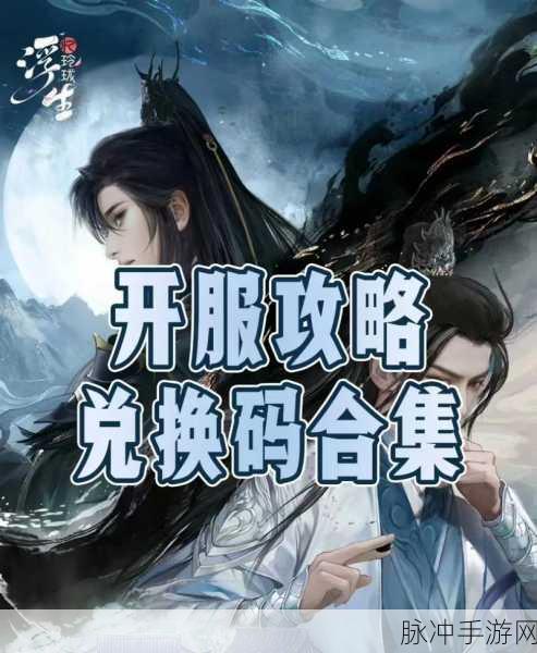 浮生忆玲珑，兑换码获取与使用全攻略