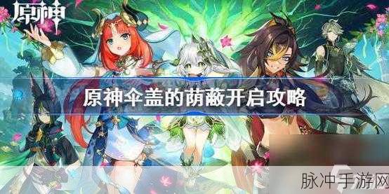 原神伞盖的荫蔽解锁全攻略