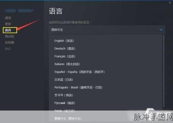 暗色天空手游，精彩活动与语言支持全攻略