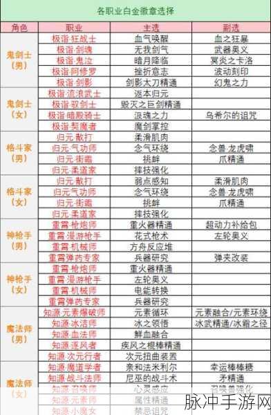 DNF2025 女气功白金徽章的最优抉择指南