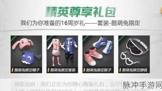 和平精英冠军兔兔祈愿保底探秘及武器装备全解析