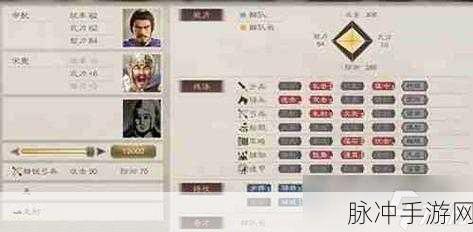 三国志 8 攻略秘籍大揭秘，让你称霸三国