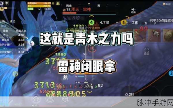 妄想山海青木屏障破除秘籍大公开