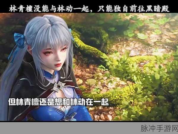黑暗之殿，深度解析与玩法秘籍