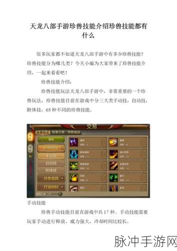 天龙八部手游，绝版珍兽全揭秘与获取攻略