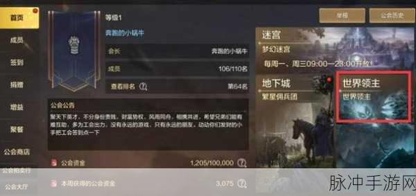 DNF 手游公会探秘，作用、副本与刷本策略
