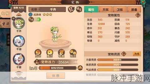 造梦无双中赠送宠物的详细指南