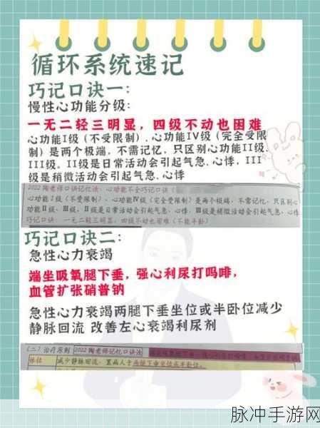 大唐游仙记黑风山通关秘籍大揭秘