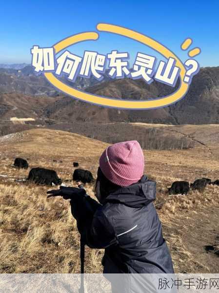 灵山奇缘攻略，魂晶获取秘籍大公开