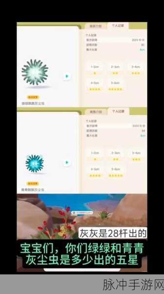 心动小镇种植箱购买指南大揭秘