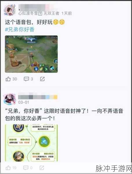 王者荣耀天幕无法显示的原因及解决办法全解析