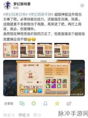梦幻西游手游宠物精选指南，助你称霸三界