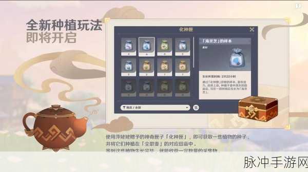 原神化种匣获取秘籍大公开