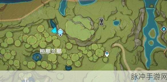 原神须弥梦之树位置大揭秘