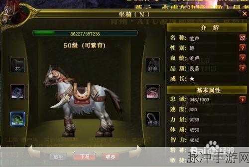 御龙在天手游，各职业马匹选择指南