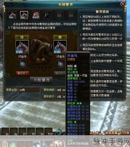 御龙在天手游，各职业马匹选择指南
