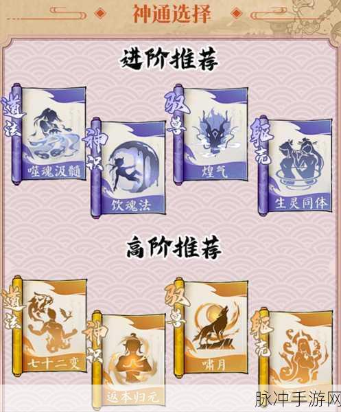 寻道大千，朱雀燃烧流玩法全解析