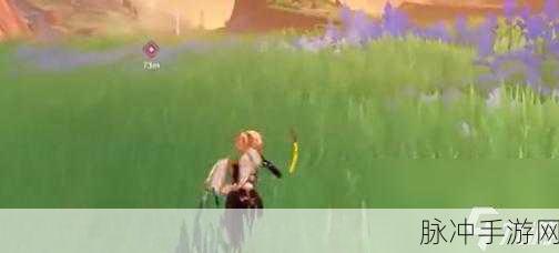 原神裂鸣的悲音任务全奖励大揭秘