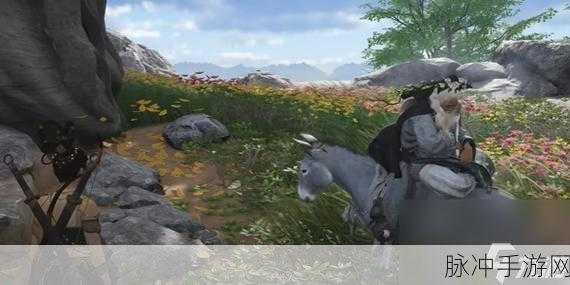 燕云十六声寻侠之路奇遇任务全攻略