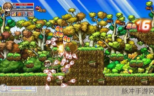 冒险岛神兵传奇无敌版宠物秘籍大公开
