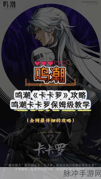 鸣潮手游卡卡罗声骸抉择指南