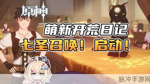 原神骰子猫与卡牌战场，卡牌等级提升秘籍