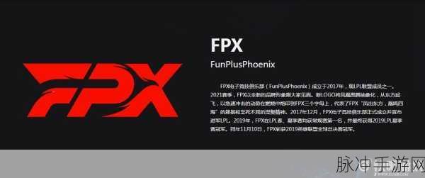 FPX 战队成员大揭秘及手游攻略全解析