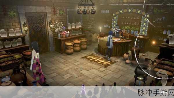 探秘暗喻幻想天上人宅邸的通关秘籍