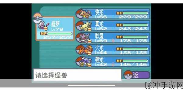 口袋妖怪叶绿，打造无敌精灵战队秘籍
