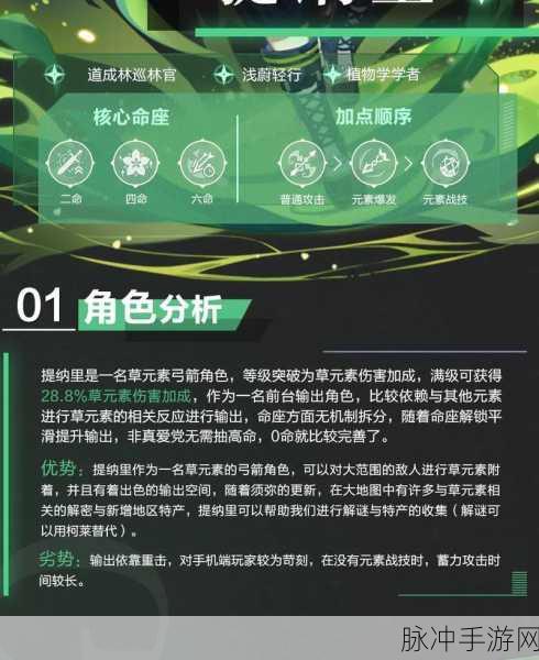 原神提纳里圣遗物与武器搭配全解析