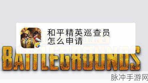 和平精英，探秘成为巡查员资格的必备条件