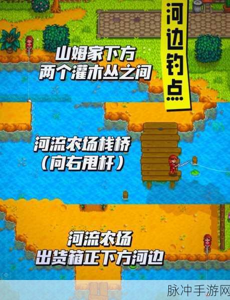 星露谷物语钓鱼绝佳地点大揭秘