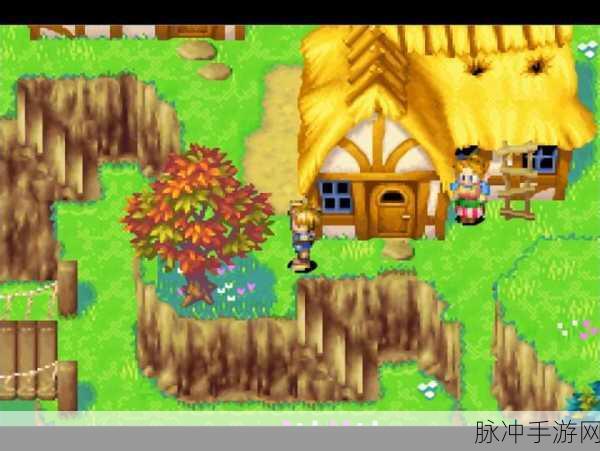 GBA 模拟器中黄金太阳 2 的更新秘籍
