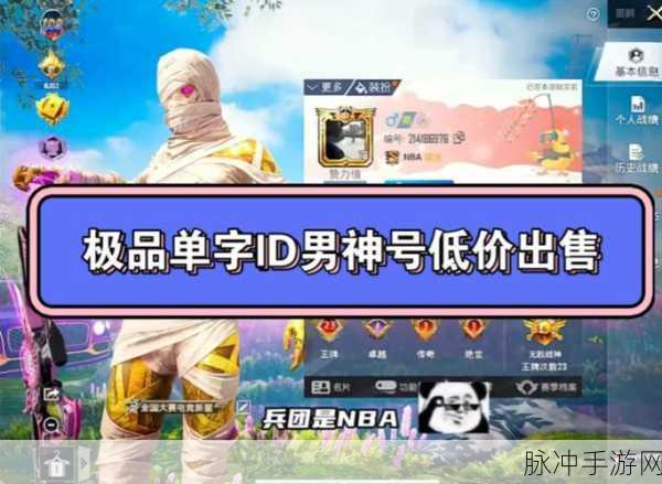 和平精英，那些被遗忘的单字 ID 宝藏