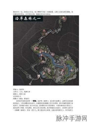 古墓丽影 9 手游，支线古墓全攻略秘籍