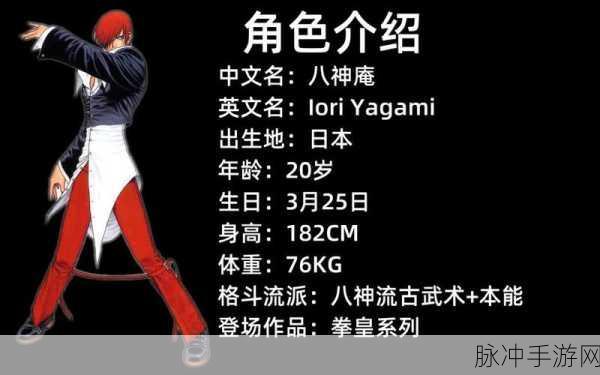 拳皇 97ol，武馆系统与快速过关秘籍大揭秘