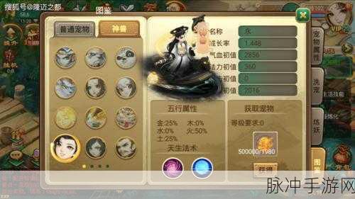 蜀山传奇手游，角色修炼与信息全解析