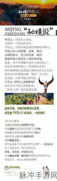 新冥界契约之梅花桩秘境，全方位探秘与攻略指南