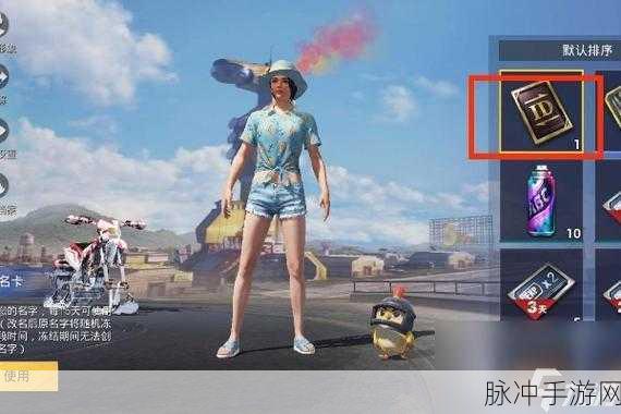 和平精英改名秘籍，轻松修改彰显个性