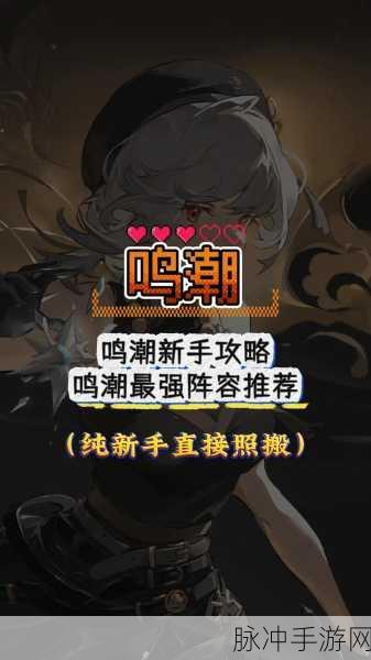 鸣潮丹瑾配队秘籍，打造最强阵容攻略