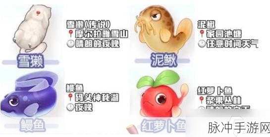 摩尔庄园手游，鸭子养殖秘籍大公开