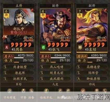 荣耀新三国，张飞阵容搭配全攻略，制霸战场不是梦